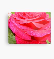 Layer upon layer... Metal Print