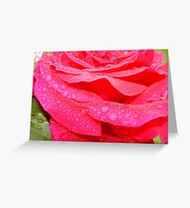 Layer upon layer... Greeting Card
