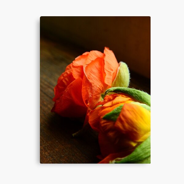 Orange Flowers on the Table Canvas Print