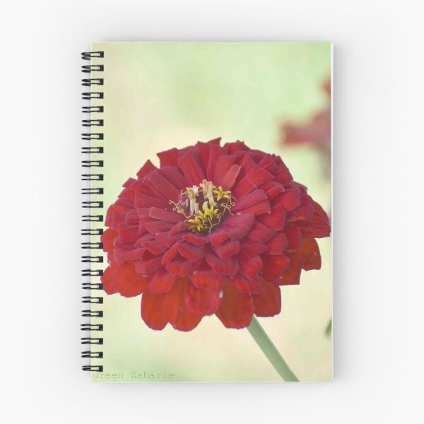 Item preview, Red Zinnia  designed and sold by Maureen Zaharie.