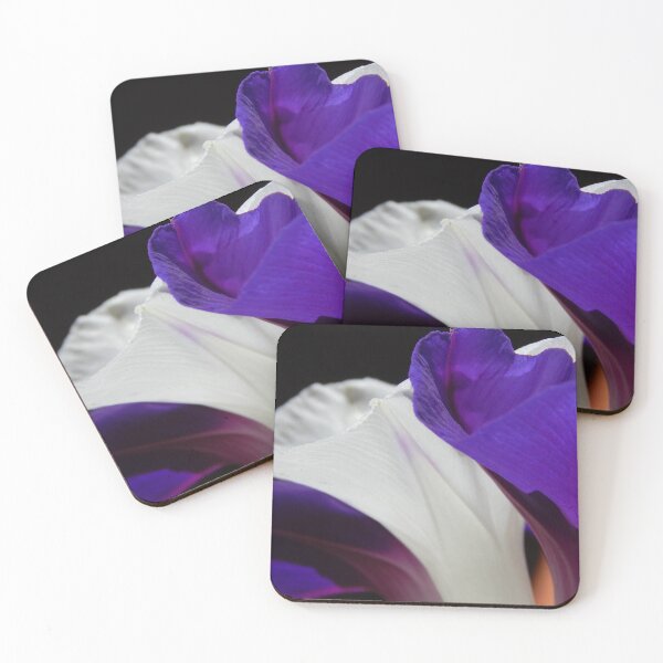 Item preview, Purple and White Morning Glories designed and sold by Cynthia Staples.