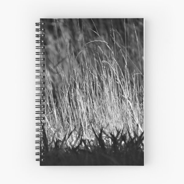 Item preview, Undiminished By Shadow designed and sold by Janeesa Payne.