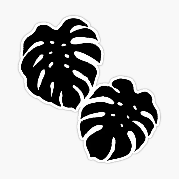 philodendron tiger tooth Philodendron “Jungle boogie” “Tiger tooth” or “narrow” starter plant –  GoldenGreeneryCo