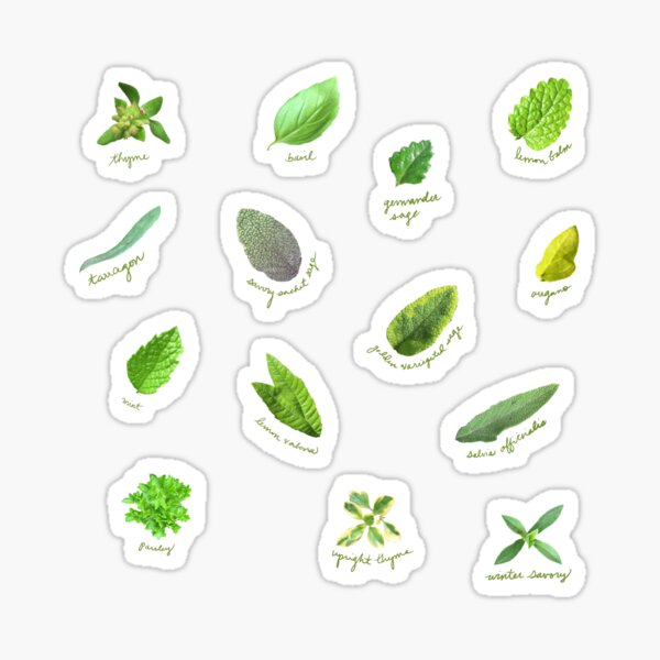 Kitchen garden herbs sticker pack Sticker