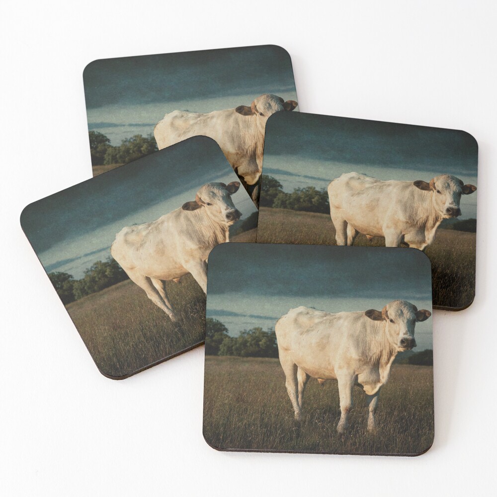 Item preview, Coasters (Set of 4) designed and sold by RJDowns.