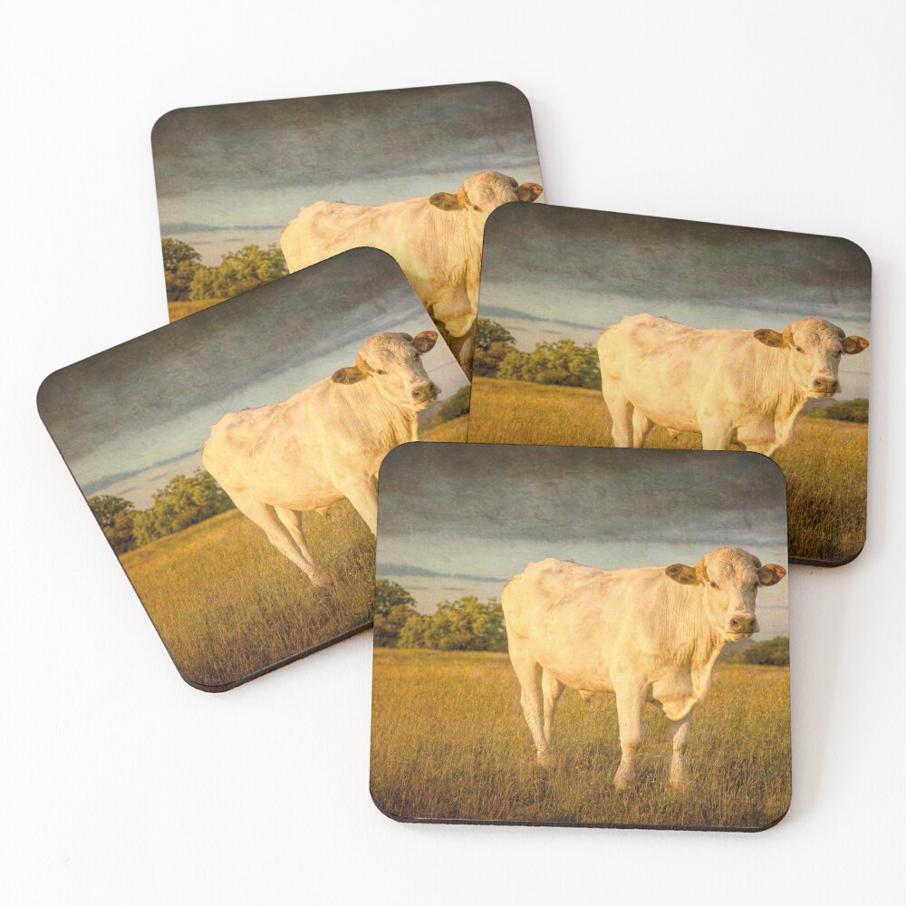 Item preview, Coasters (Set of 4) designed and sold by RJDowns.