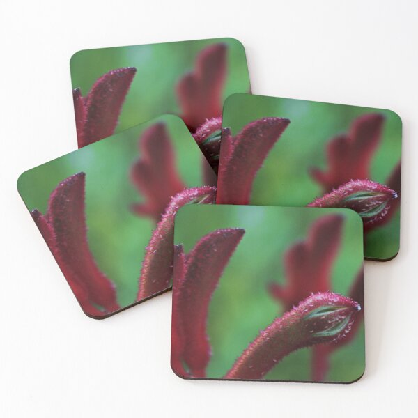Item preview, Kangaroo Paw designed and sold by myraj.