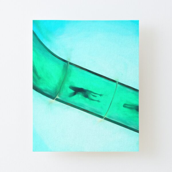 Sliding Into Summer (digital painting) Canvas Mounted Print