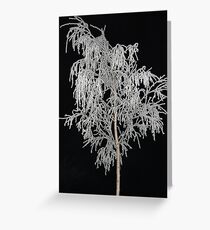 In the silvery light Greeting Card