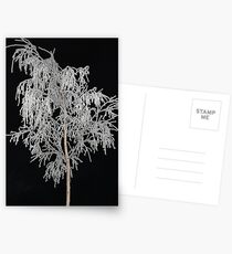 In the silvery light Postcards