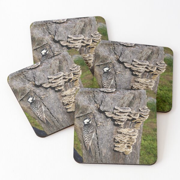 Item preview, Hen and Chickens designed and sold by webster7.