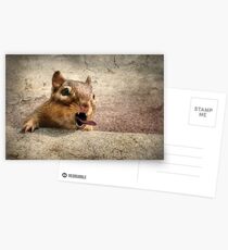 Vampire Chippy Postcards