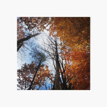 Autumn Sky Art Board Print