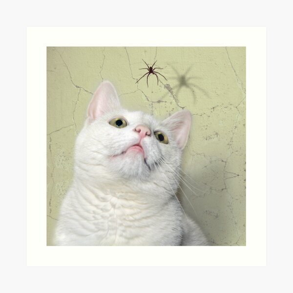 Cat Bo Art Print
