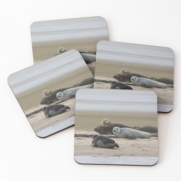Item preview, Seals on the Beach designed and sold by Mythen.