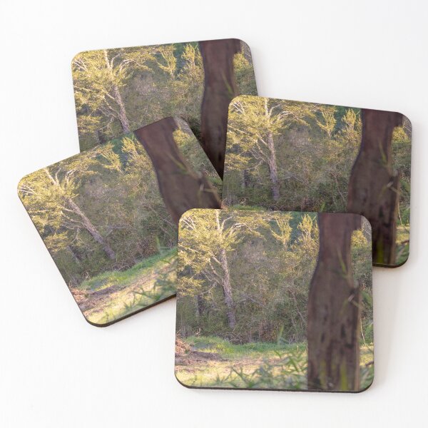 Item preview, ebs country designed and sold by pcfyi.
