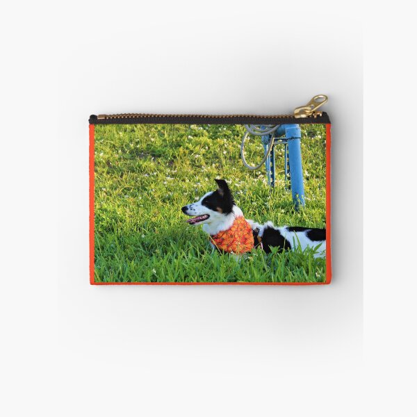 Item preview, Skipper Wearing her Pumpkin Bandana designed and sold by banditandkoko.