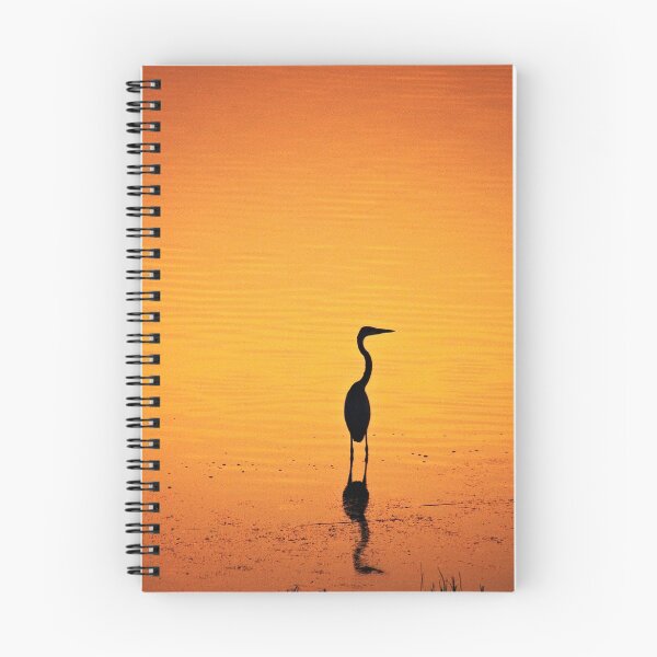 Item preview, BIRD SILHOUETTE IN SUNSET designed and sold by CebotariN.