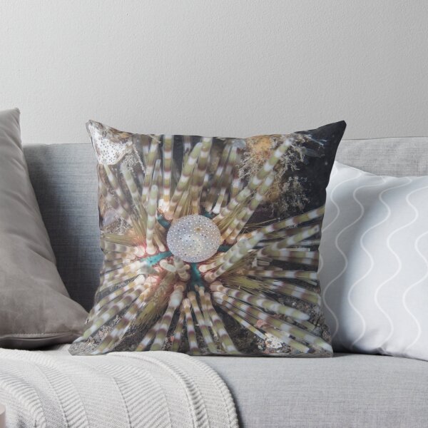 Item preview, Banded Sea Urchin designed and sold by Mark Rosenstein.