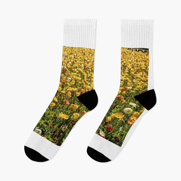 Item preview, Yellow Poppies designed and sold by DPalmer.