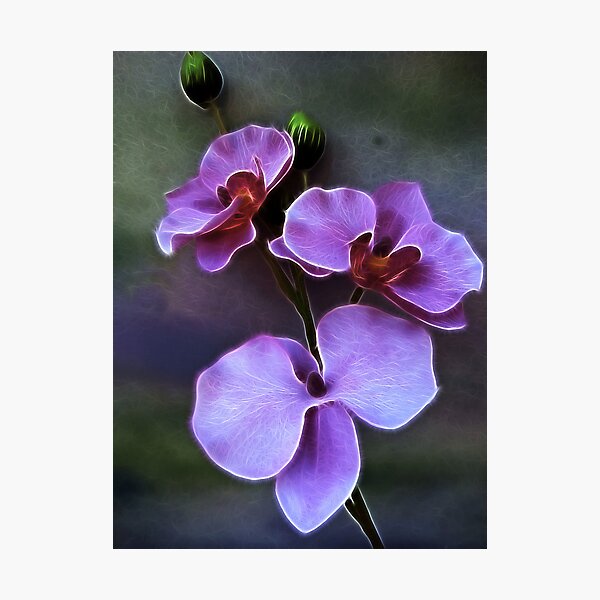 Item preview, Pretty in Purple designed and sold by suzannem73.