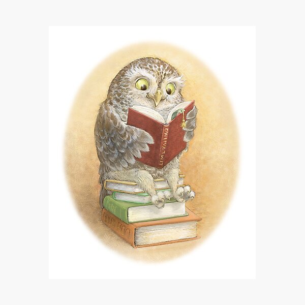 Book Owl Photographic Print
