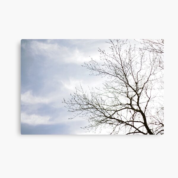 tree of life Canvas Print