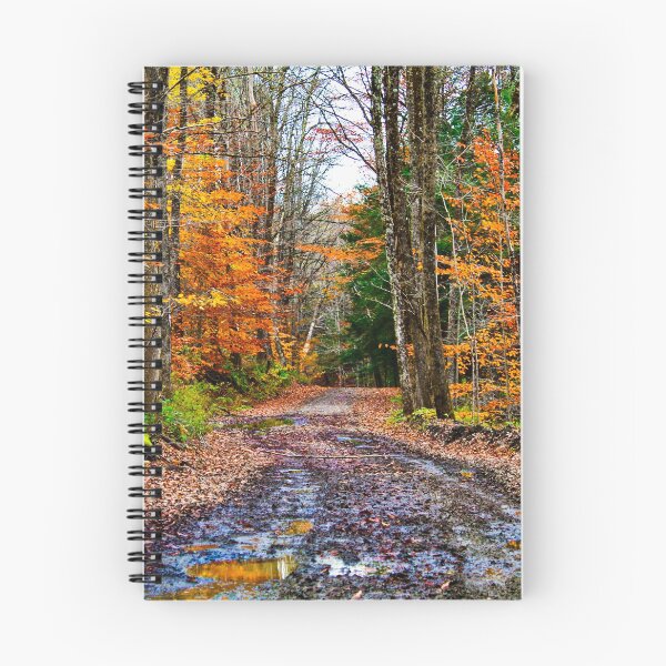 Item preview, Autumn back road designed and sold by dave-settle.