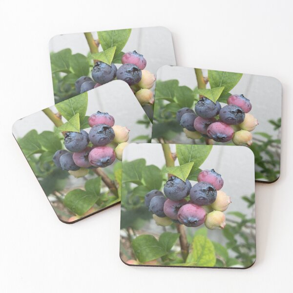 Item preview, Stay Fresh designed and sold by Courtney Croxall.