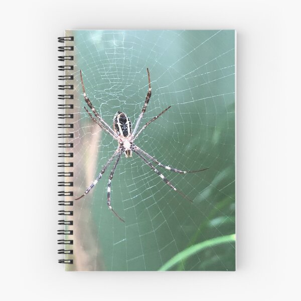 Item preview, Caught designed and sold by Courtney Croxall.