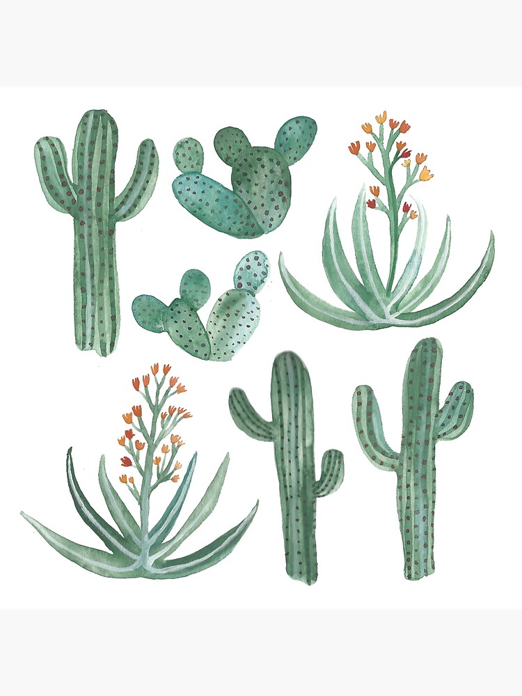 Watercolor Cactus for Beginners - Saguaro Cactus with Brusho [Color Snack  Sunday] 