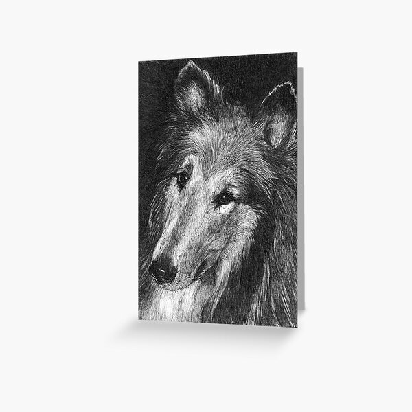 LADDIE MAY/ rough collie Greeting Card