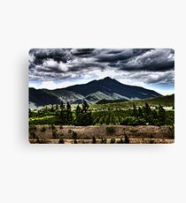 La Tontuta Canvas Print