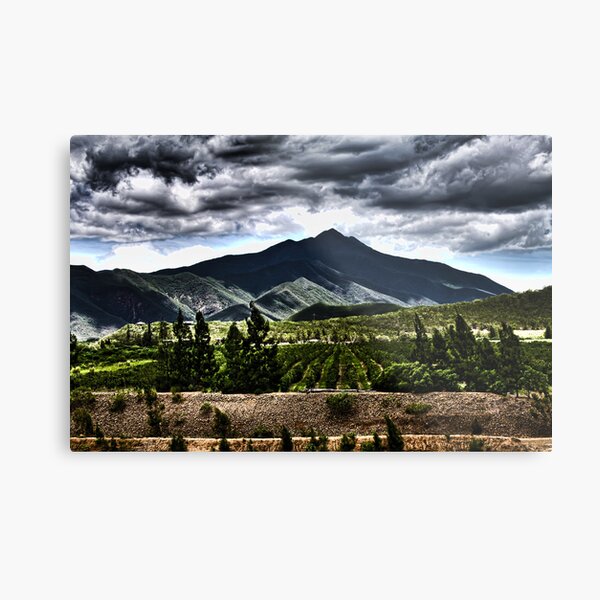 La Tontuta Metal Print