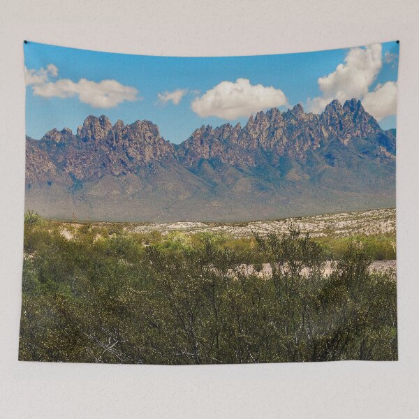 Item preview, Summer View of the Organ Mountains designed and sold by William E Lopez.