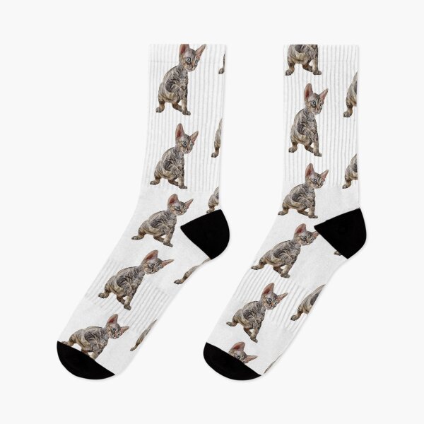 Item preview, Drawing cat Cornish Rex designed and sold by bonidog.