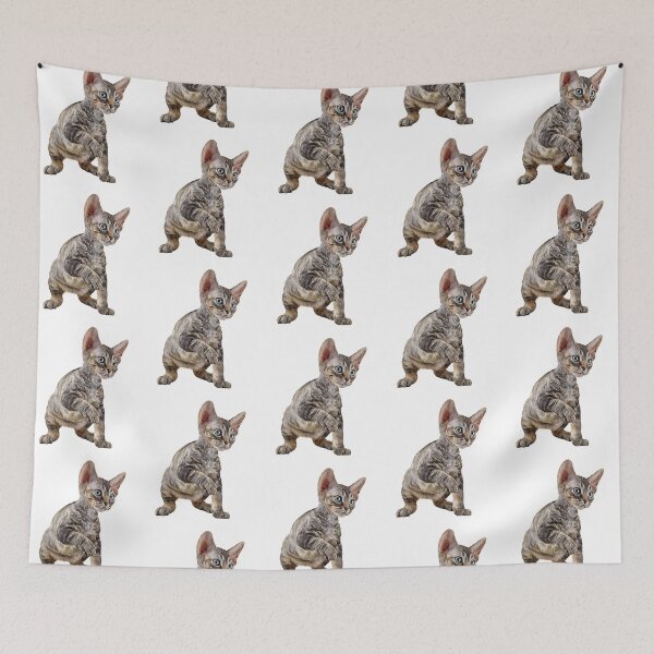 Item preview, Drawing cat Cornish Rex designed and sold by bonidog.