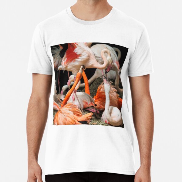 Flamingos Squabling Premium T-Shirt