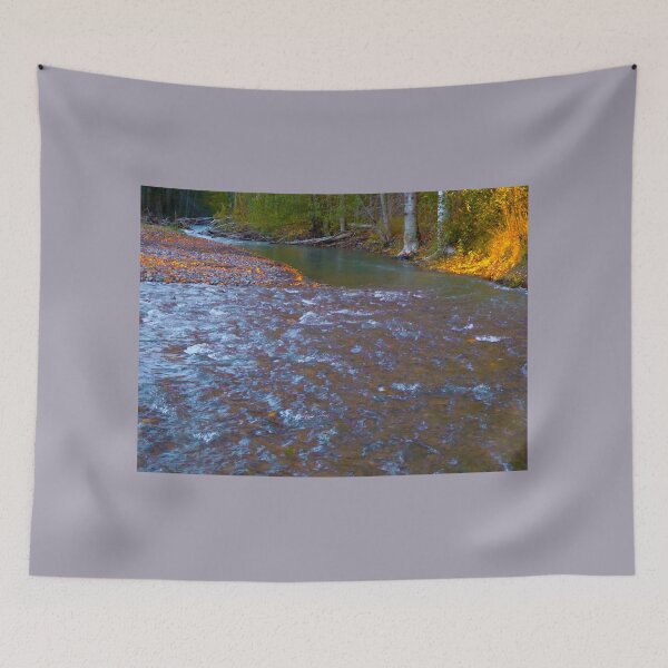 Item preview, LAST SUNLIGHT ON THE DUNGENESS RIVER designed and sold by Elaine Bawden.