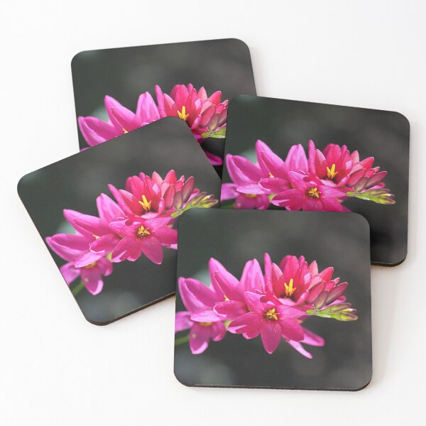 Item preview, Ixia In Hot Pink designed and sold by Joy Watson - Natural Light Photography .