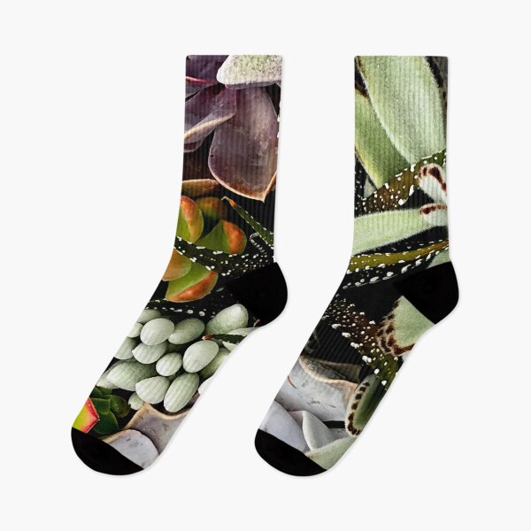 Item preview, Exotic Succulent Garden Art Photo designed and sold by DEC02.