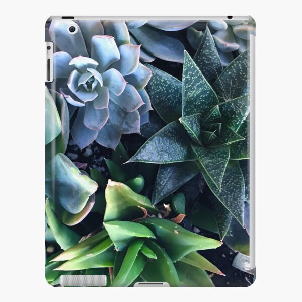 Contemporary, Sophisticated Succulents iPad Snap Case