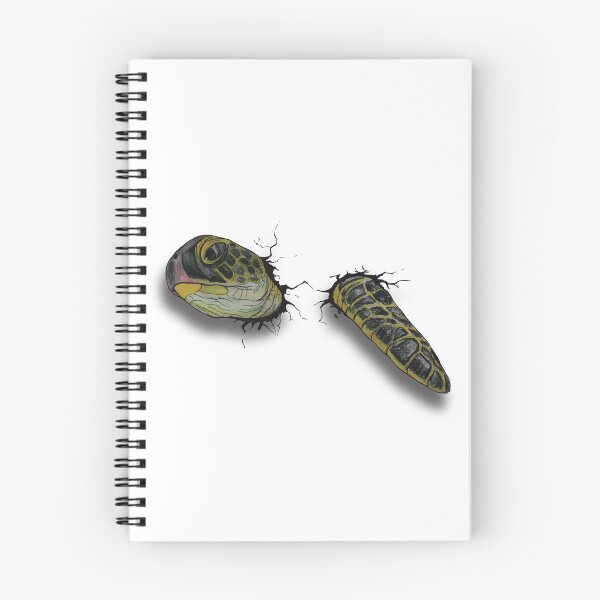 Item preview, 3D Turtle  designed and sold by Coota-Art.
