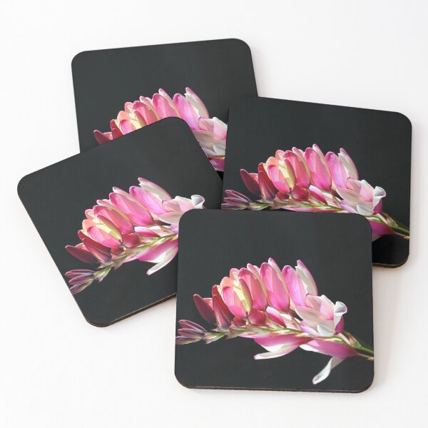 Item preview, Ixia Flower Pink and Soft Lemon designed and sold by Joy Watson - Natural Light Photography .