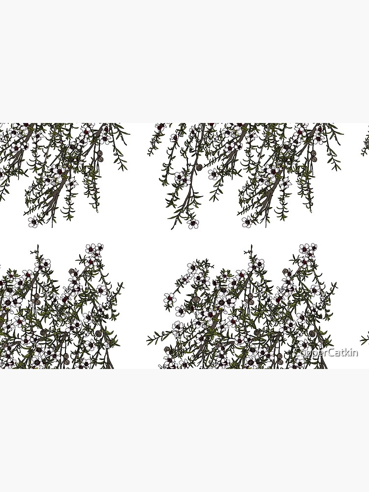 Mānuka bush - white flowers by CopperCatkin
