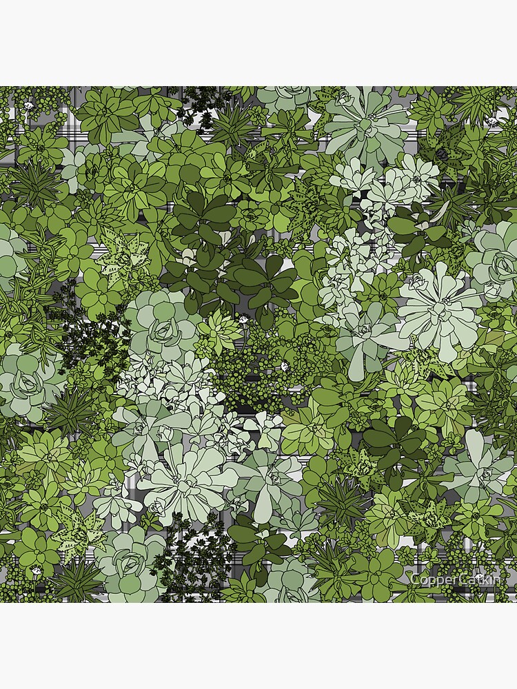 Succulents on grey plaid by CopperCatkin
