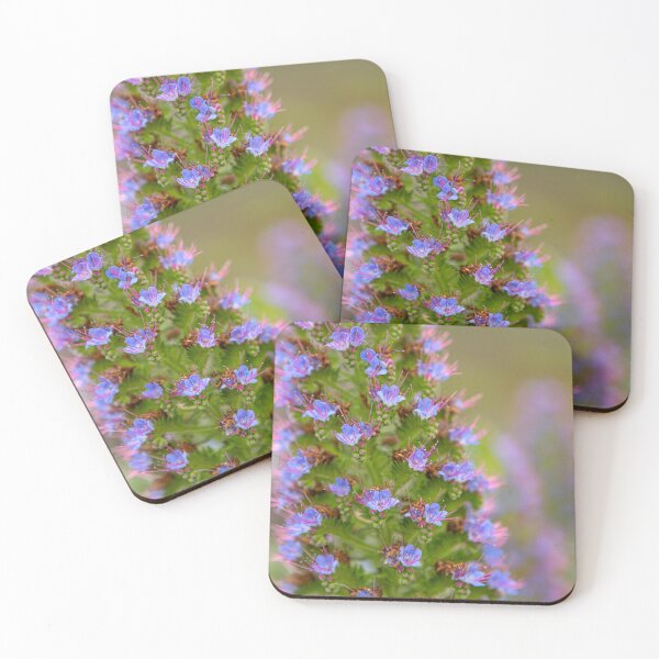 Item preview, Californian Flora designed and sold by Dave Hare Photography.