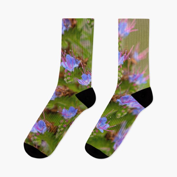 Item preview, Californian Flora designed and sold by Dave Hare Photography.