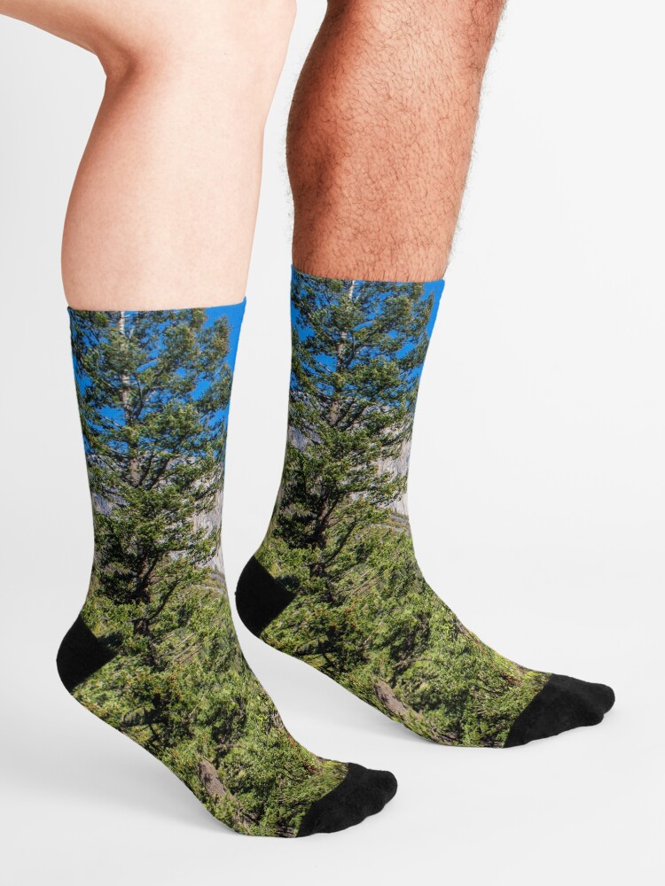 Alternate view of Yosemite Valley Socks