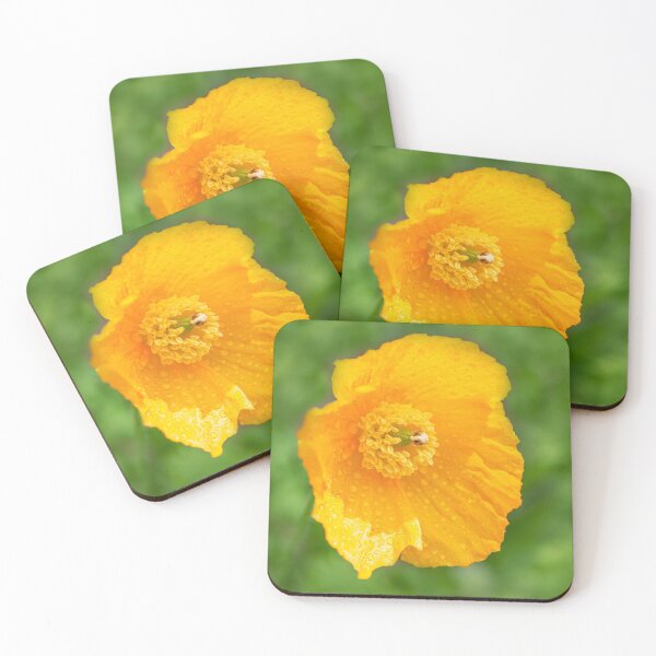 Item preview, Orange Garden Flora designed and sold by Dave Hare Photography.